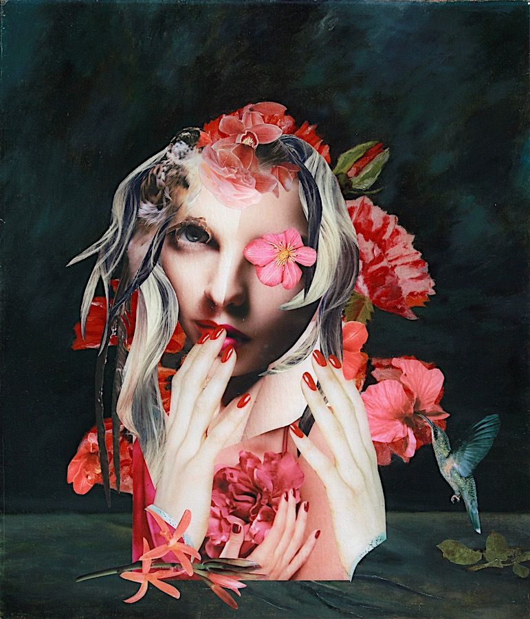 65 x 50
